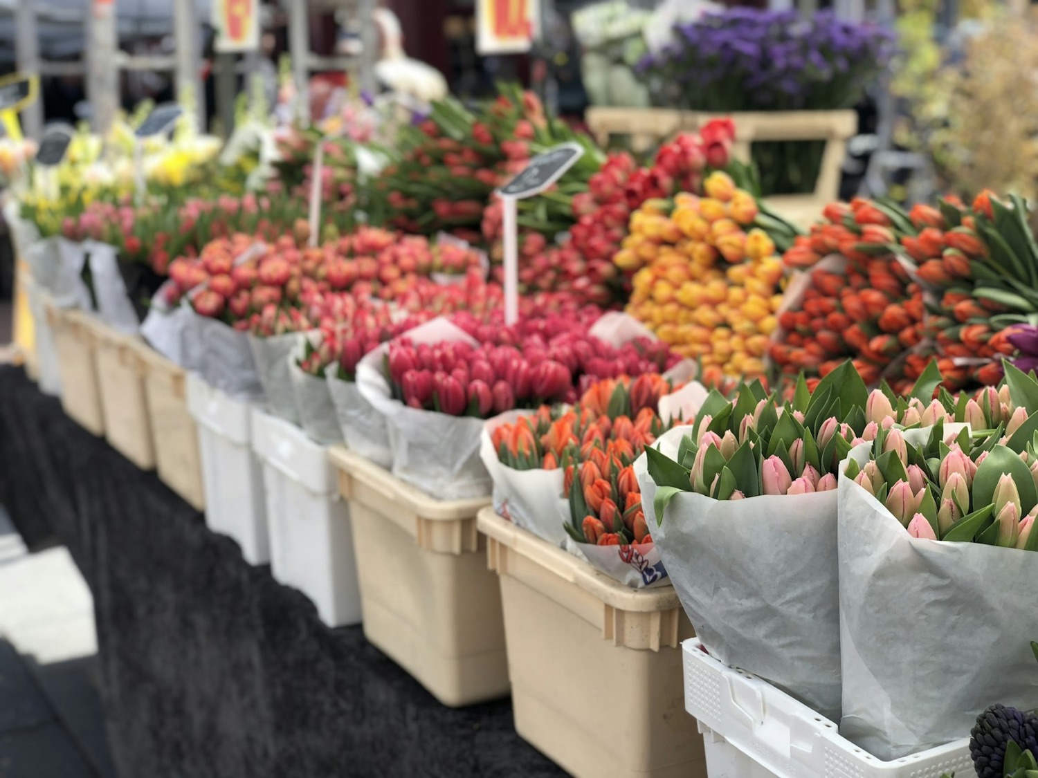 Marché aux fleurs