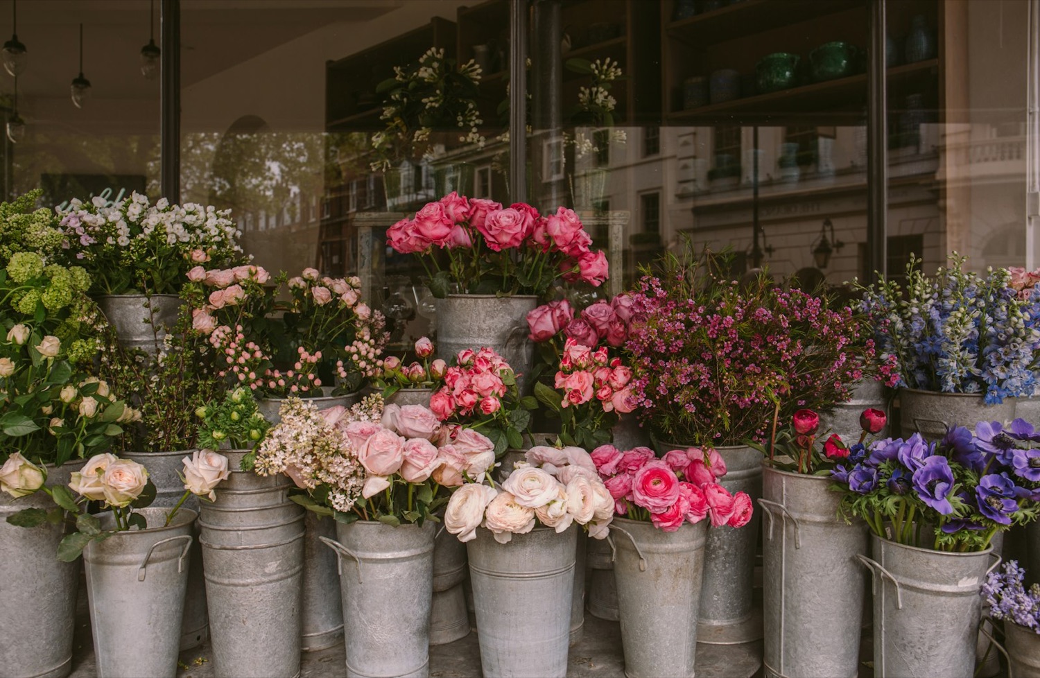Roses en seaux chez le fleuriste